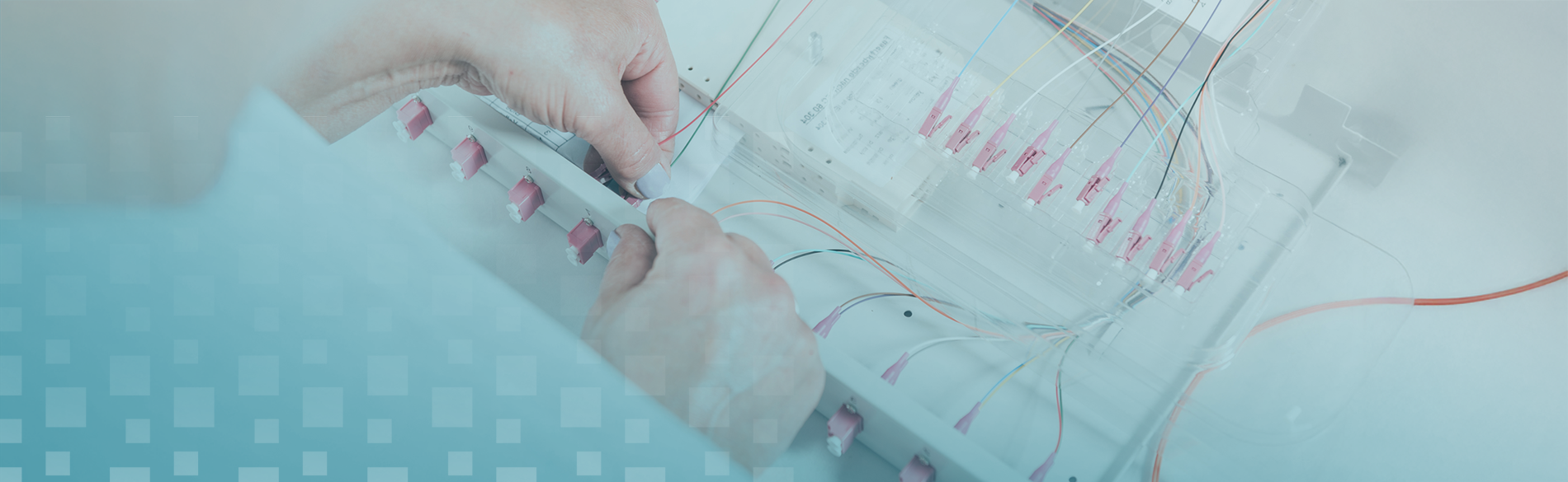 Spleißbox bestückt